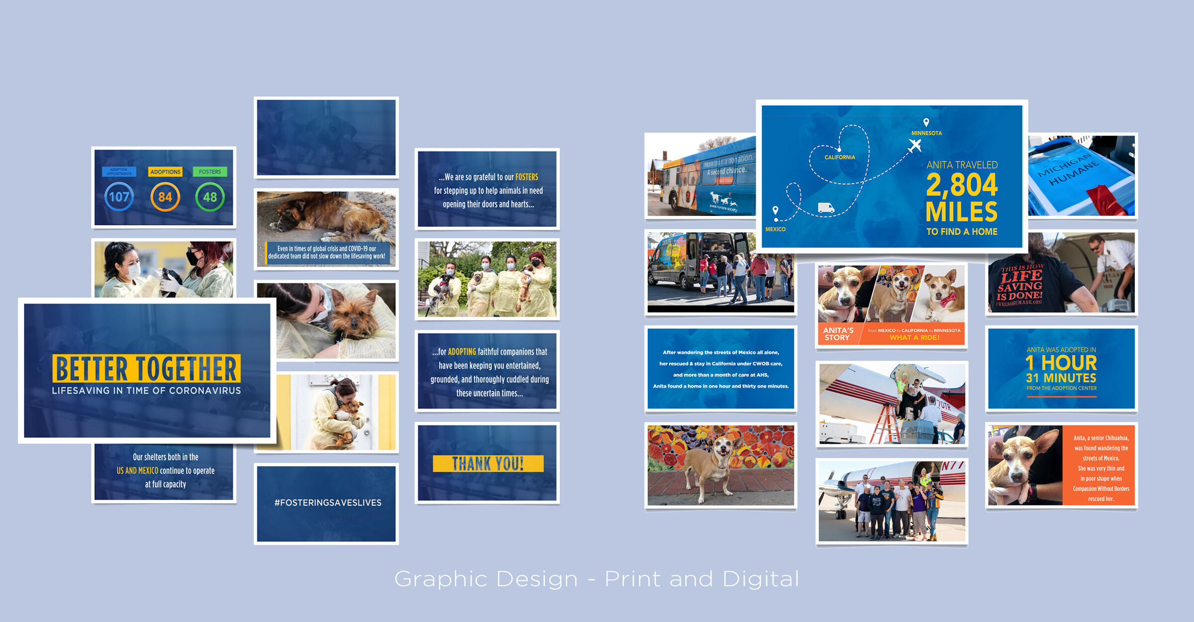 Graphic Design - Presentations: Digital & Print